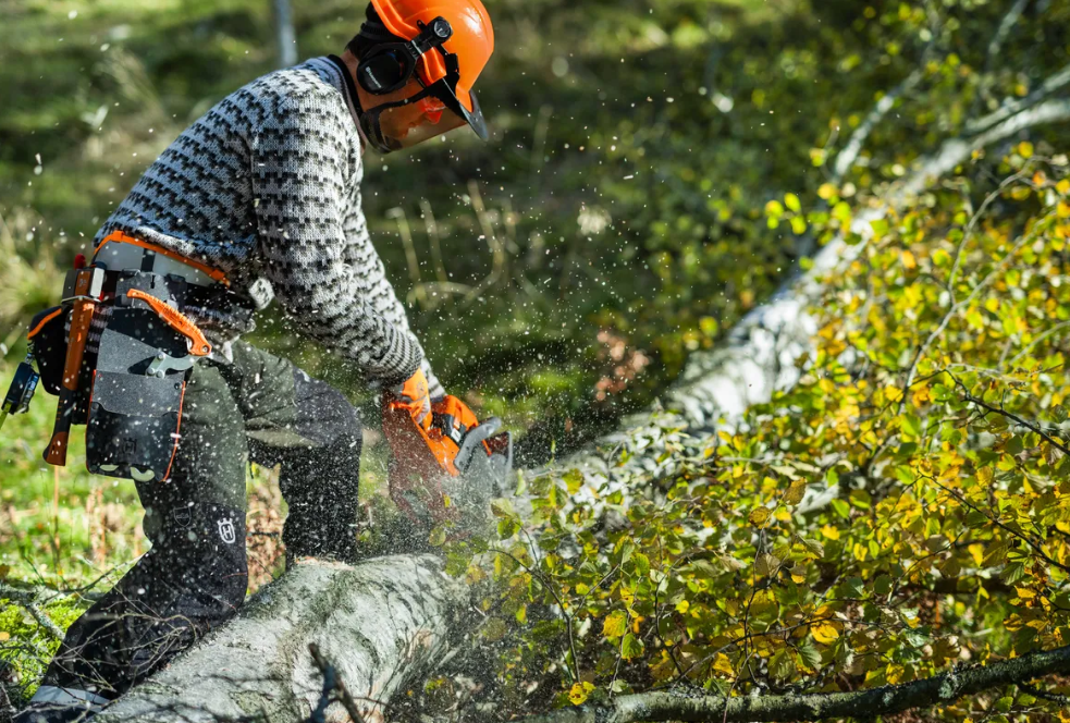 Husqvarna 450S