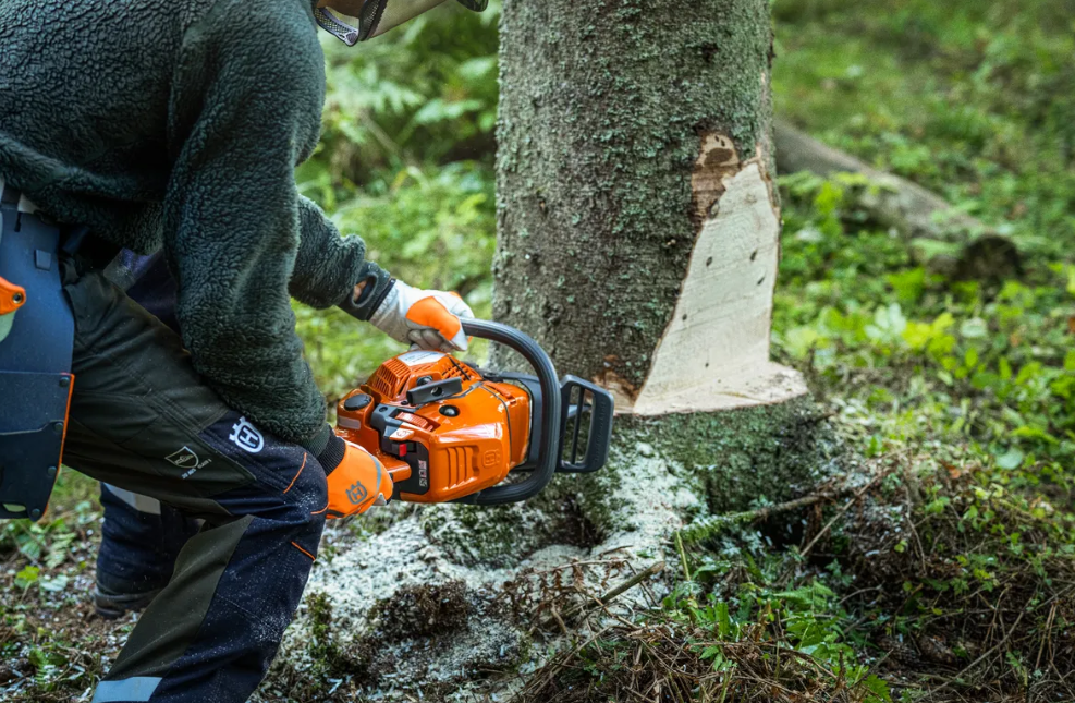 Husqvarna 450X