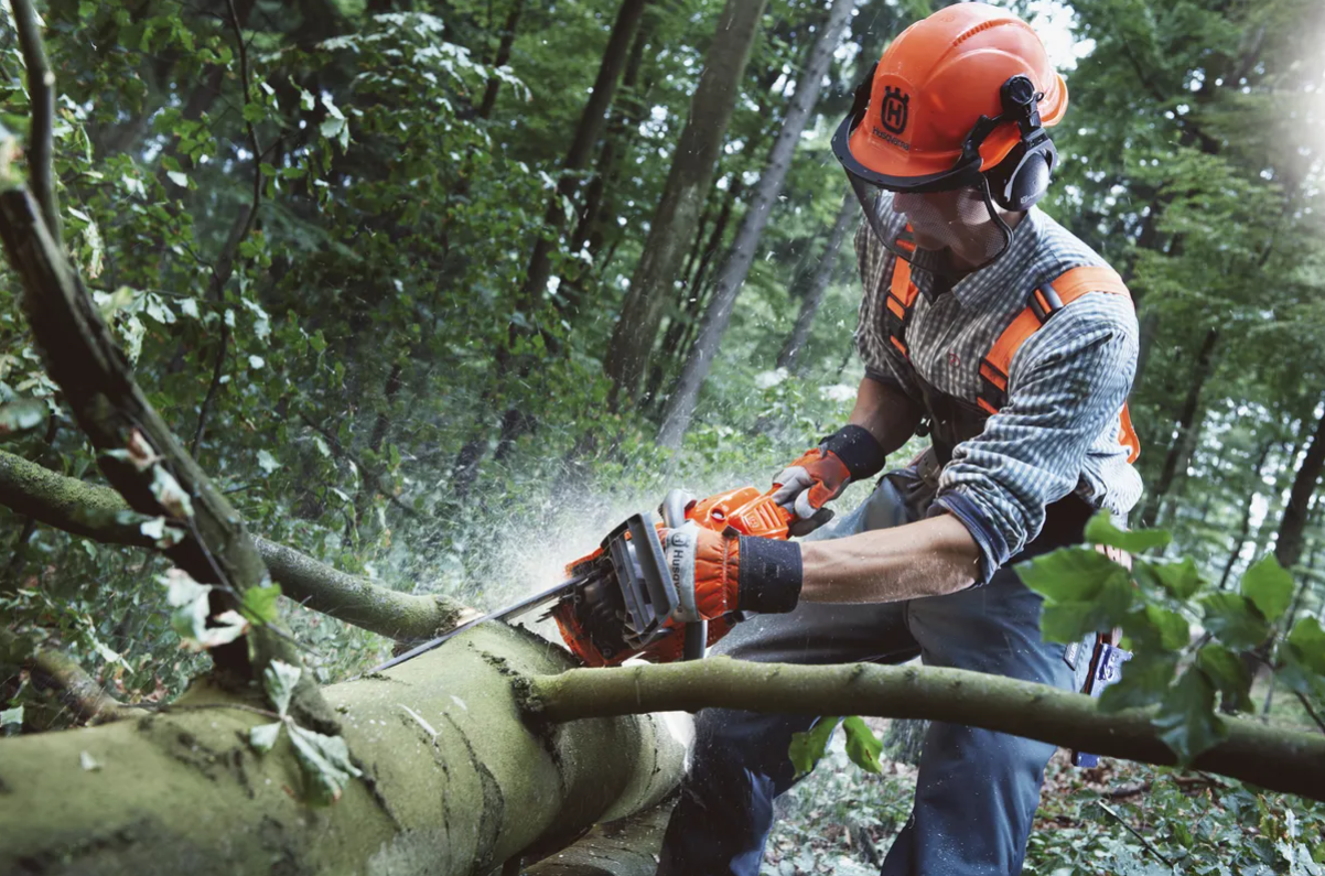 Husqvarna 555