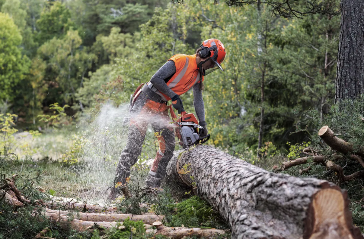 HUSQVARNA 550 XP® Mark II