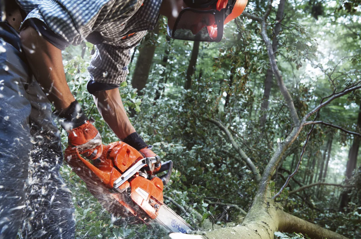 Husqvarna 555
